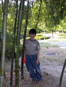 Kevin in Bamboo